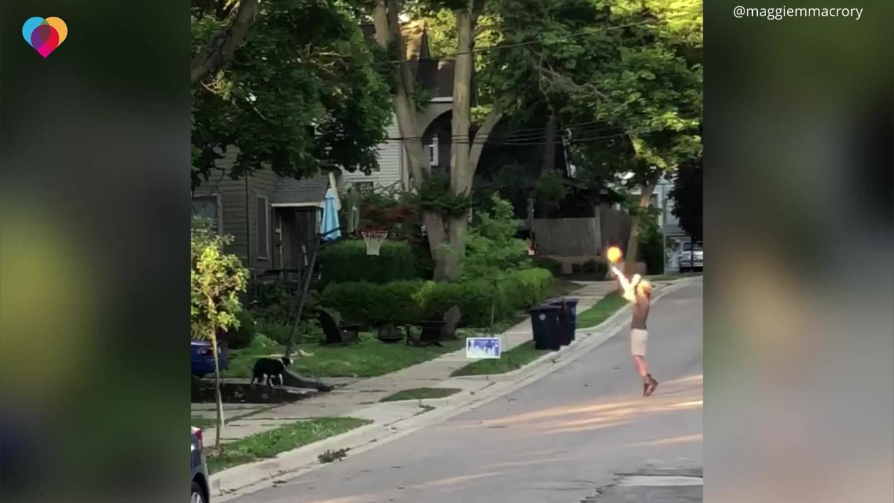 Dog rebounds ball for owner play basketball