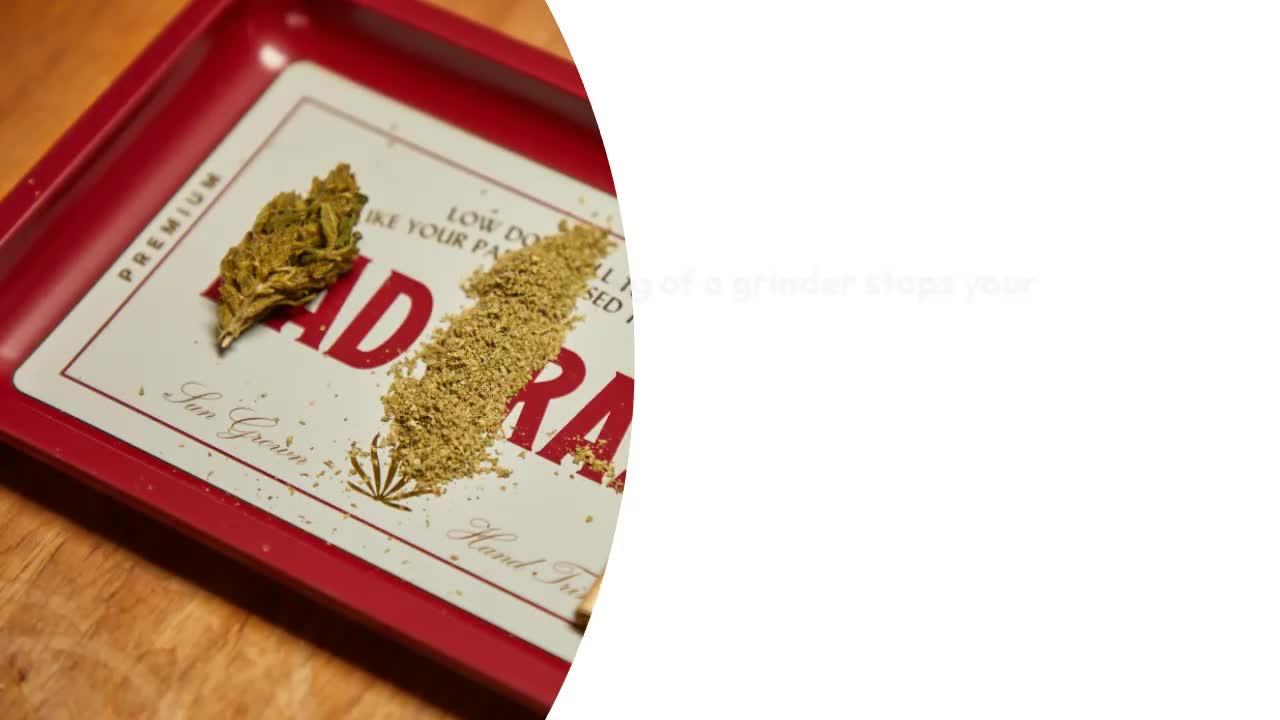 How to Roll a Joint, a Blunt, or a Spliff?