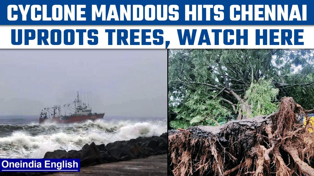 Cyclone Mandous leaves Chennai roads waterlogged, uproots trees | Oneindia News *News