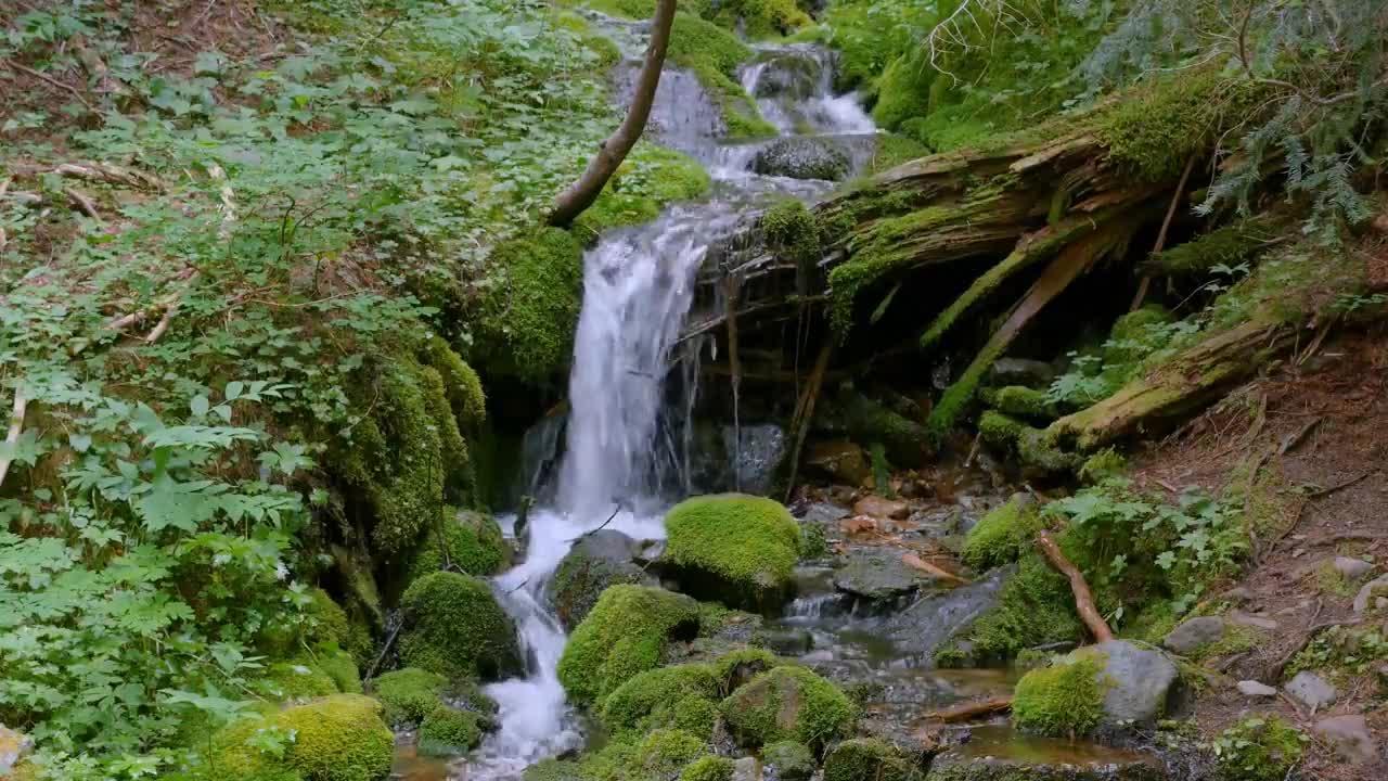 Rainier National Park - Nature Relax Video, Summer Scenery - 2 HR