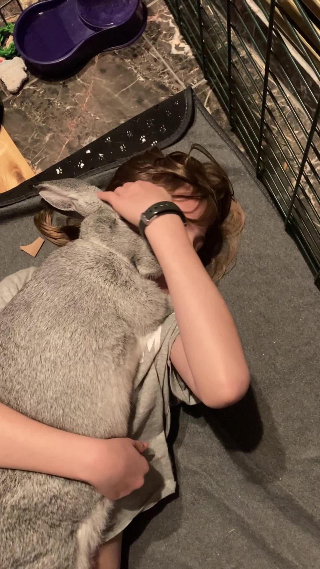 A Girl and Her Flemish Giant Rabbit