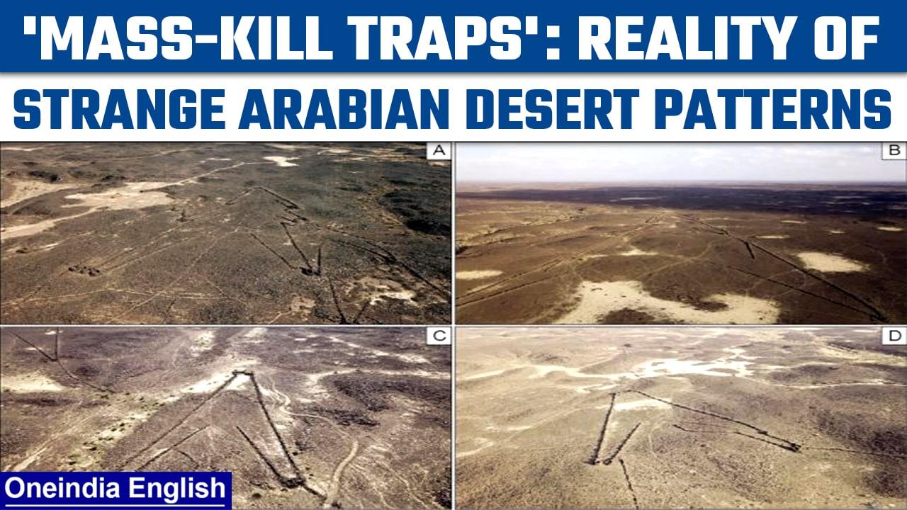 Watch: Mysterious patterns span the Arabian Desert, we may now know why | Oneindia News *News