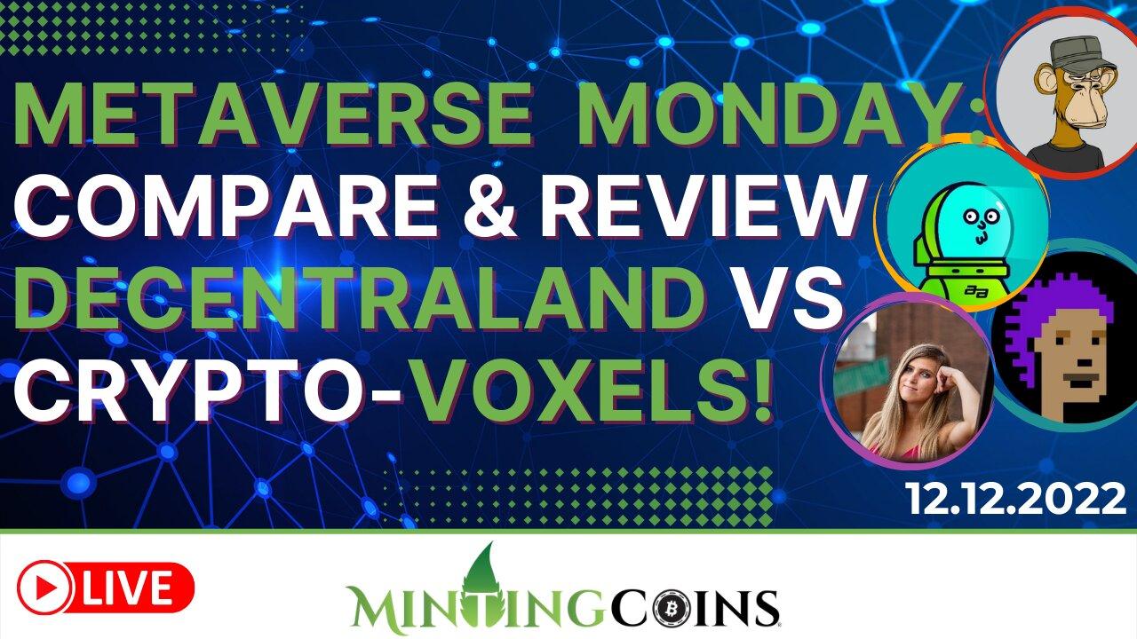 Metaverse Monday: Exploring & Comparing the Decentraland & Voxels Metaverses!