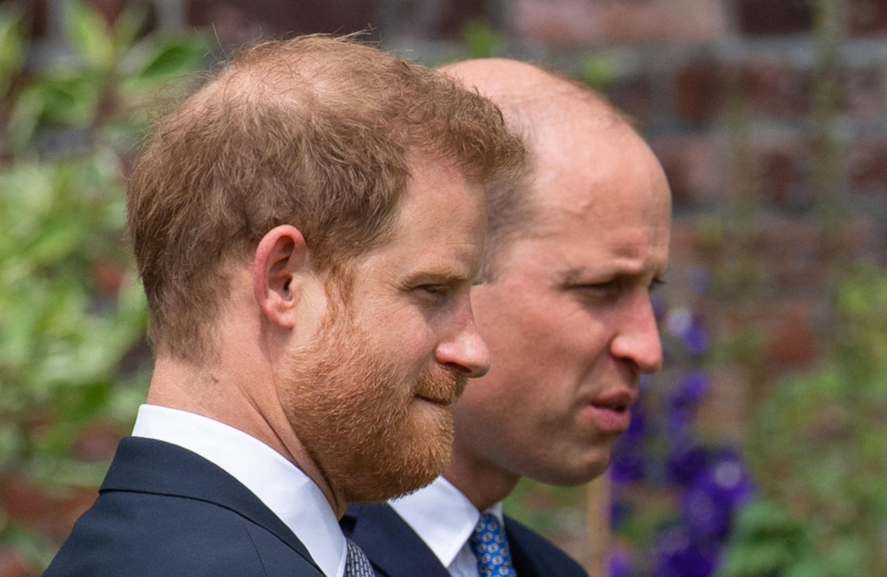 Prince Harry found it 'terrifying' when Prince William 'screamed and shouted' during meeting over royal future