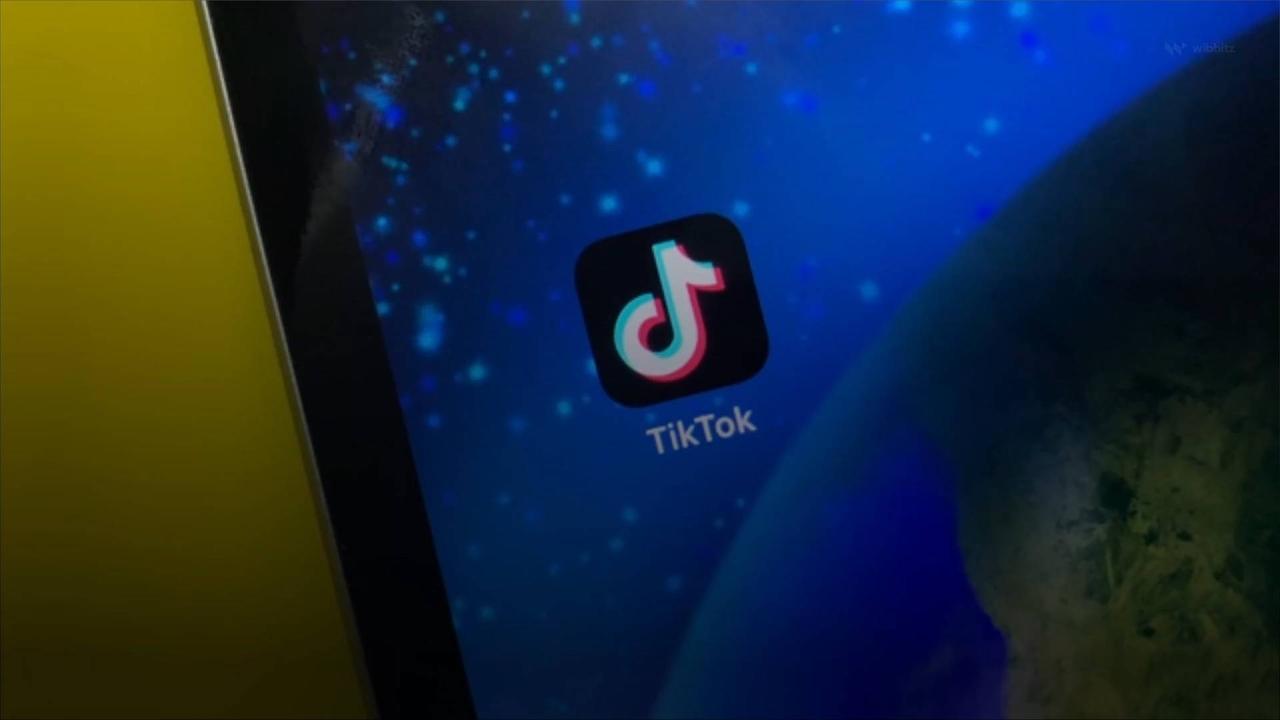 Senate Votes to Ban TikTok From US Government Devices