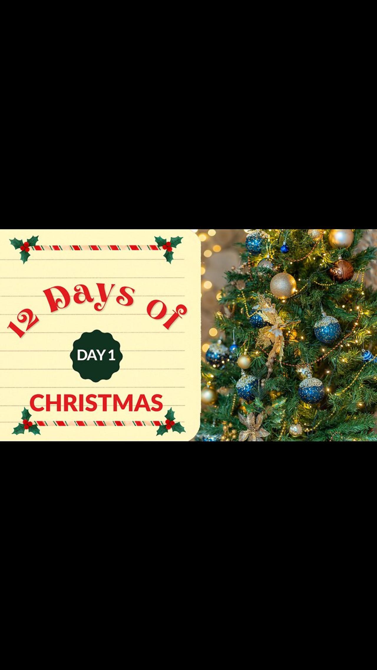 the-12-days-of-christmas-day-1-traditions-one-news-page-video