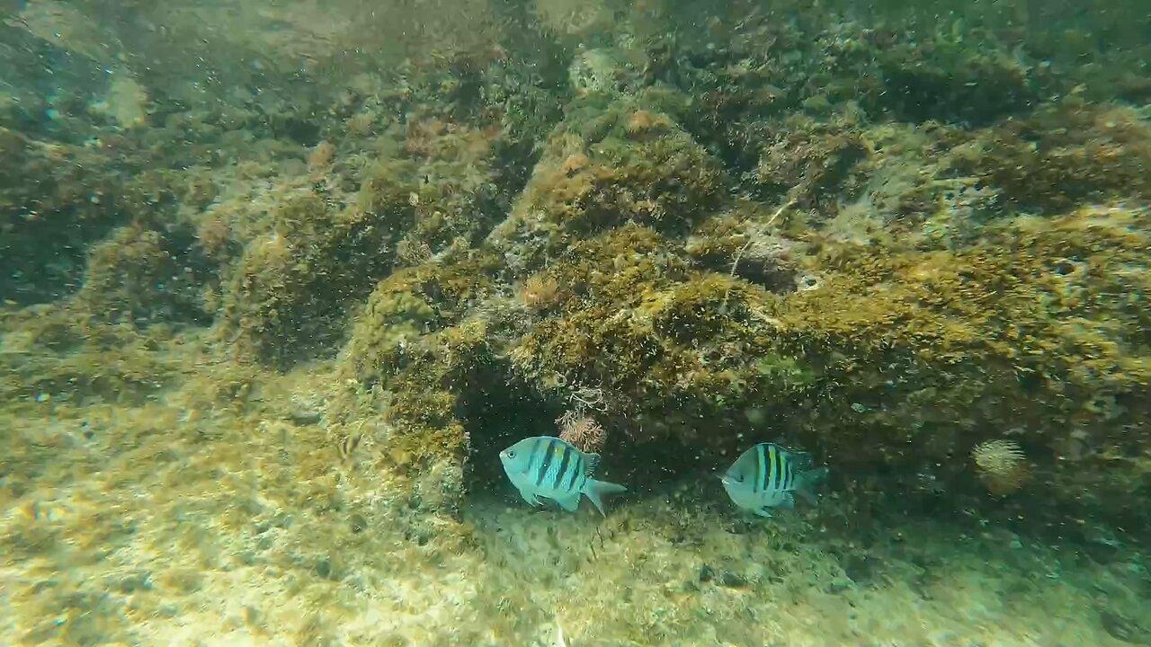 Cayo Saetia. Holguín Cuba. Scuba diving