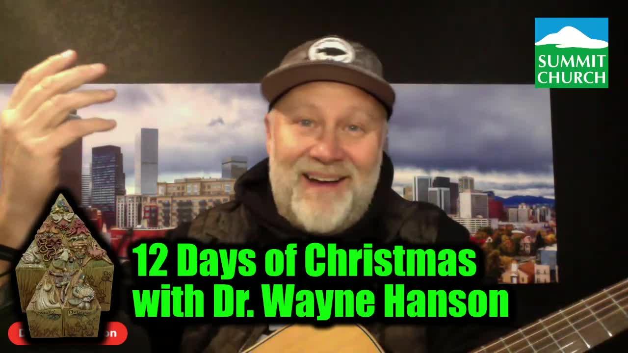 Day 6 of the 12 Days of Christmas One News Page VIDEO