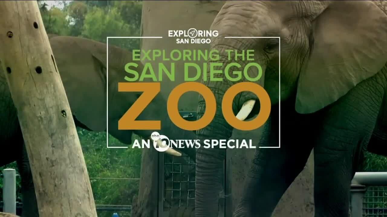 Exploring the San Diego Zoo: An ABC 10News Special