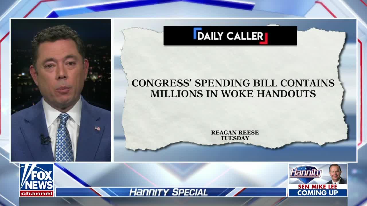 Steve Scalise highlights House Republican opposition to omnibus spending bill