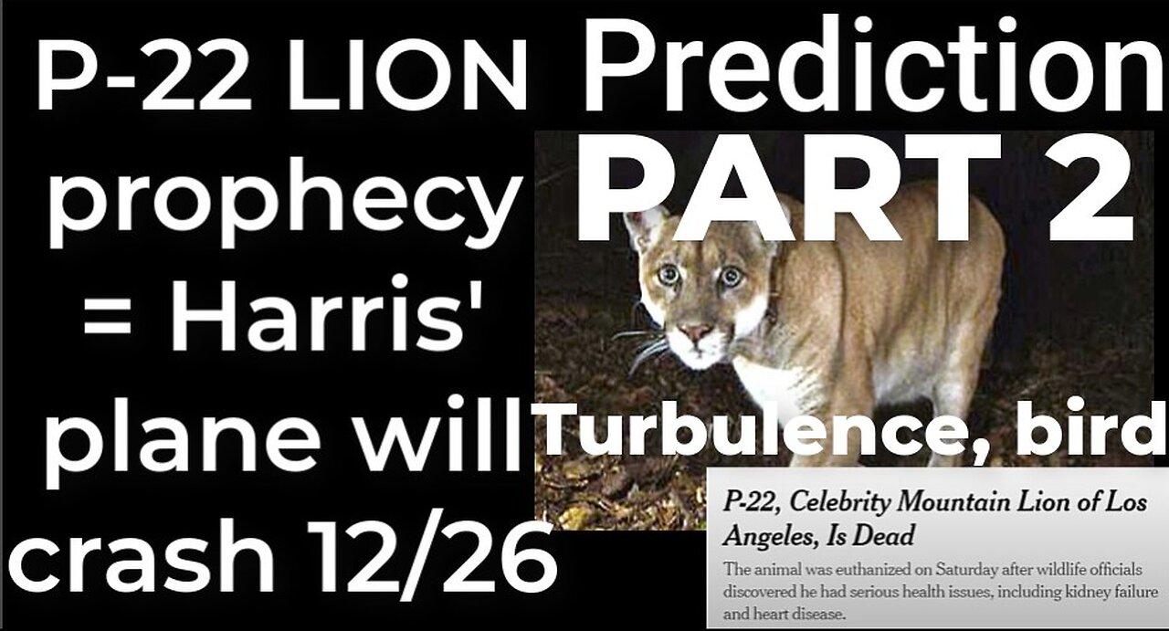PART 2 - Prediction: P-22 LION prophecy = Harris' plane will crash Dec 26