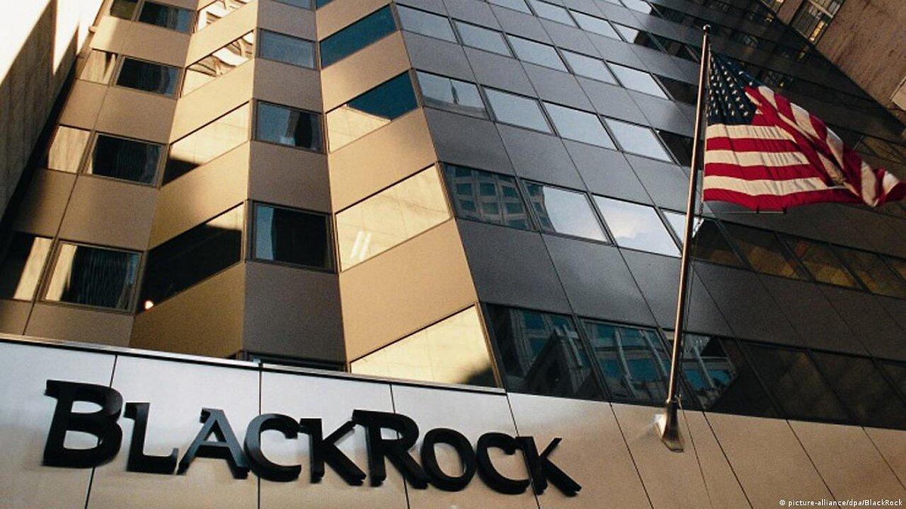 BLACK ROCK - Today's most influental company (for  ENG SUBS - link in description)