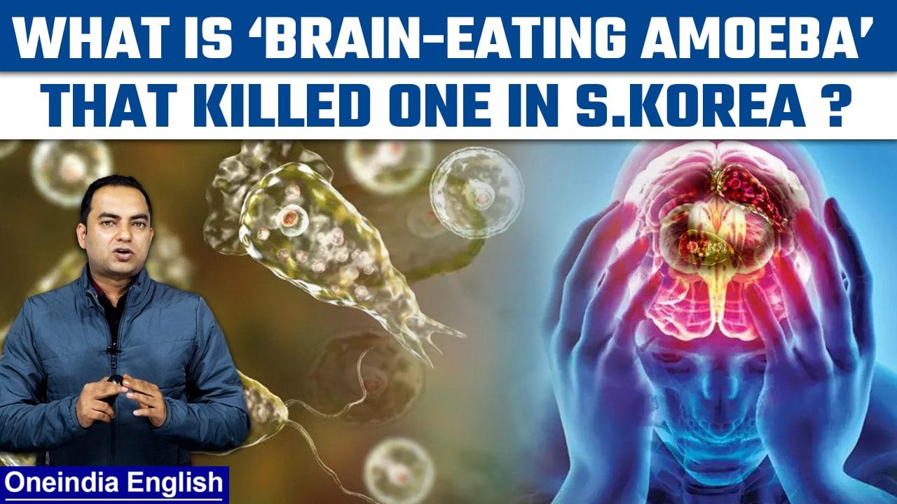 'Brain-eating Amoeba' claims life in S. Korea; Another Covid in the making? |Oneindia News*Explainer
