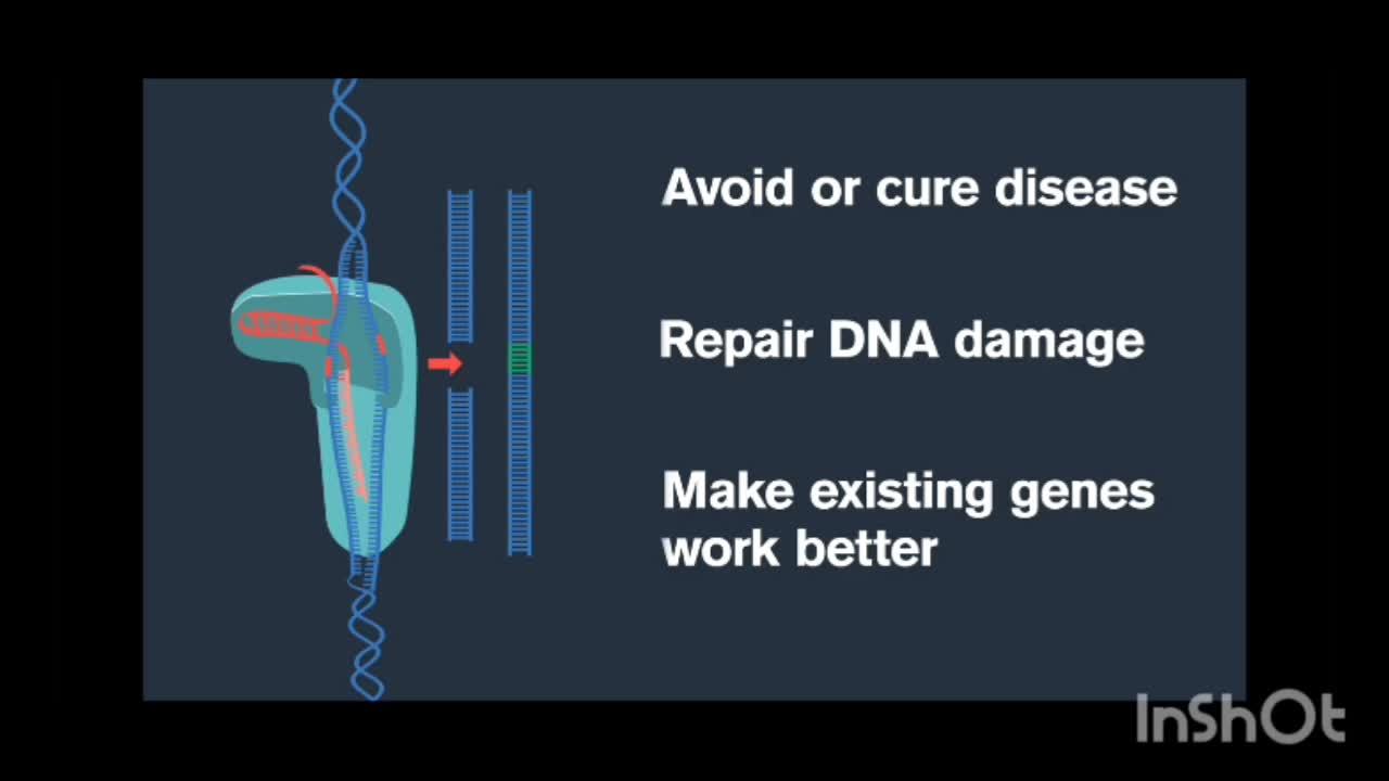CRISPR Science: DNA, RNA, and Gene Editing