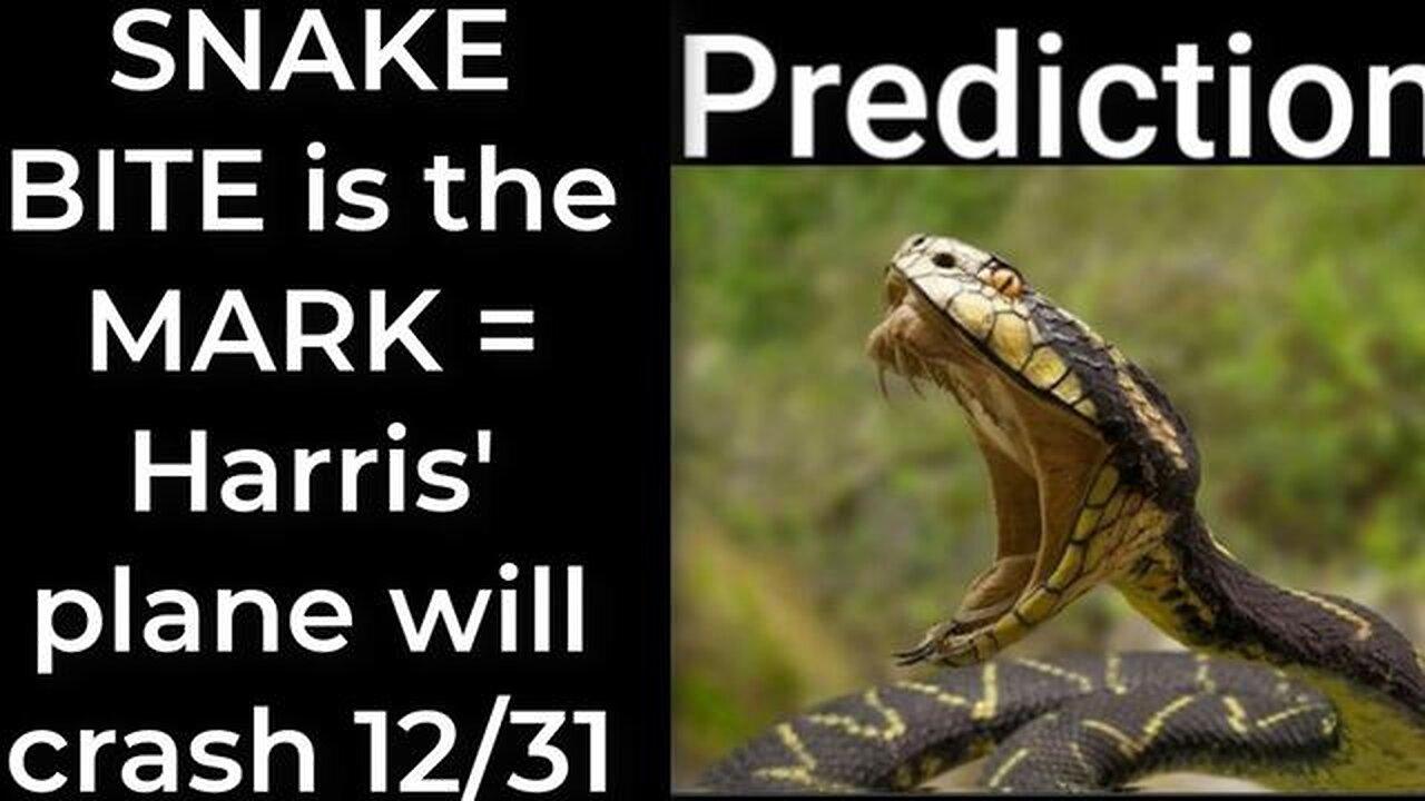 Prediction - SNAKE BITE prophecy = Harris' plane will crash Dec 31