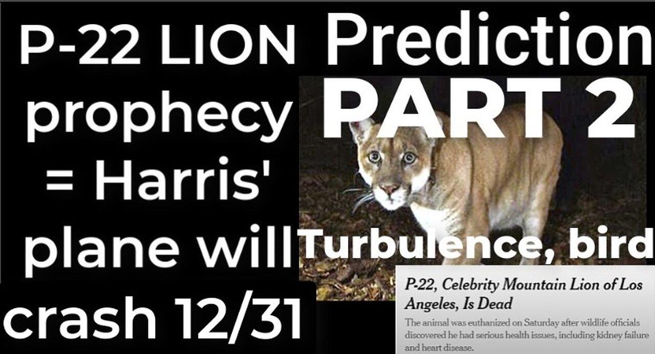PART 2 - Prediction: P-22 LION prophecy = Harris' plane will crash Dec 31