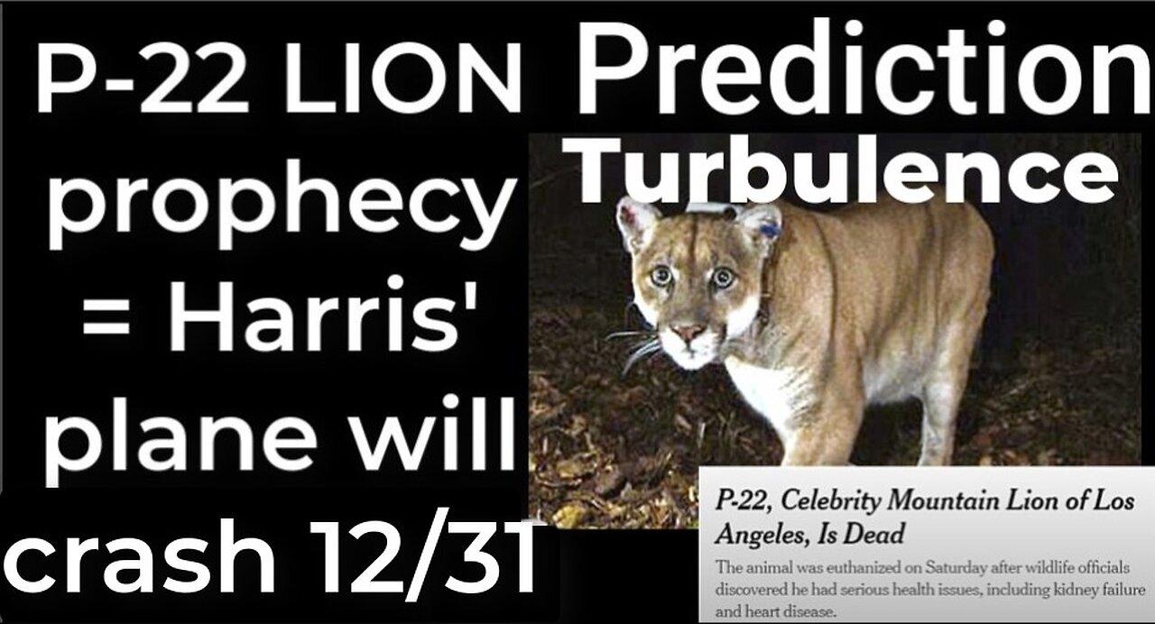 Prediction: P-22 LION prophecy = Harris' plane will crash Dec 31