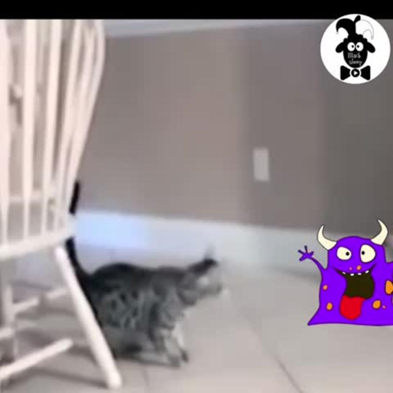 Cats getting scared by monsters 😂😹🤣