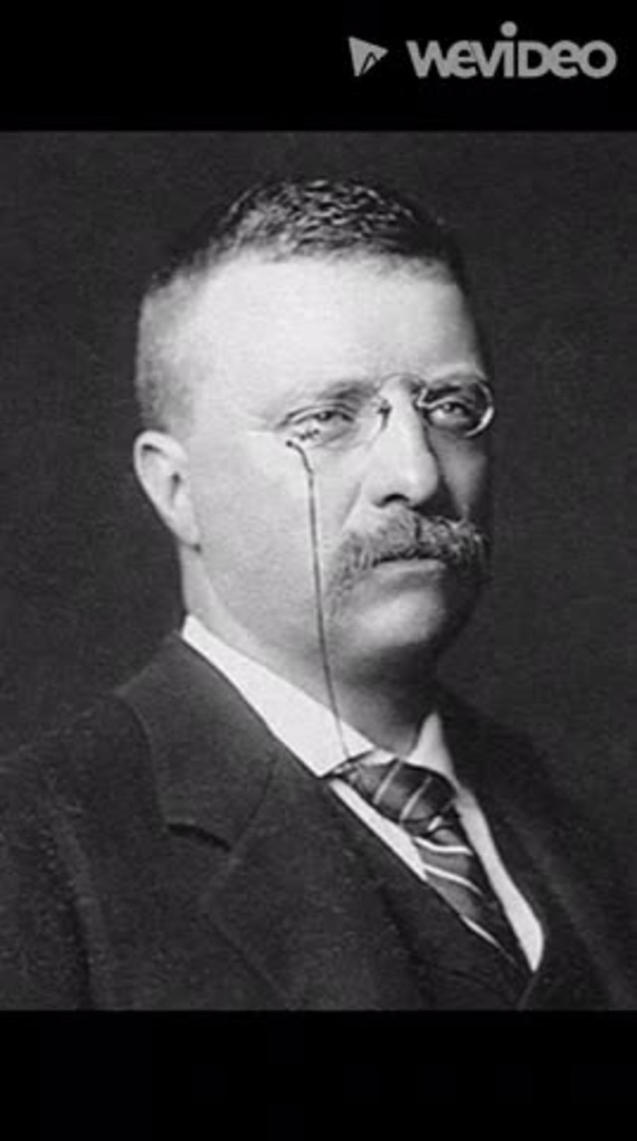 the Governorship of Theodore Roosevelt