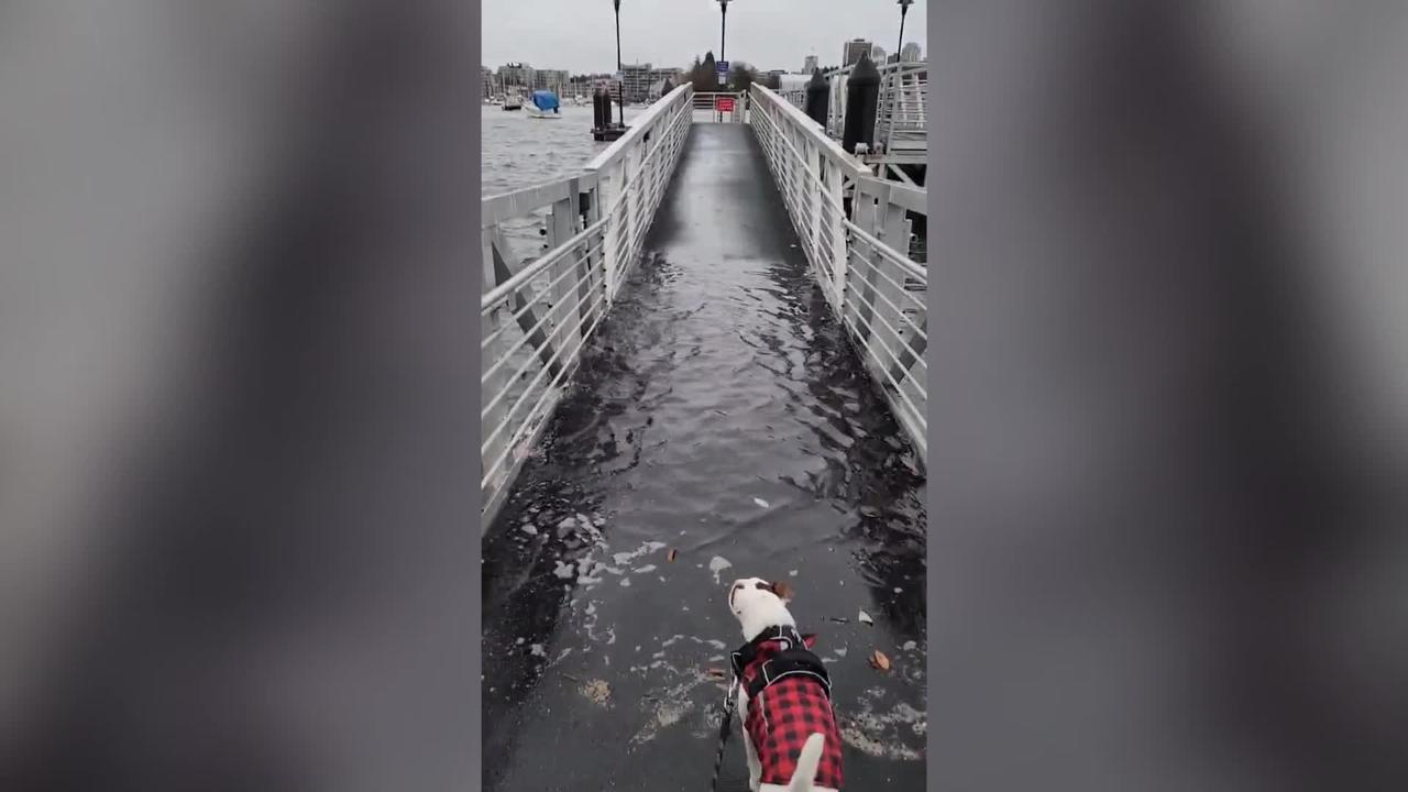 KING OF TIDES: Sun And Moon Cause Record-High - One News Page VIDEO