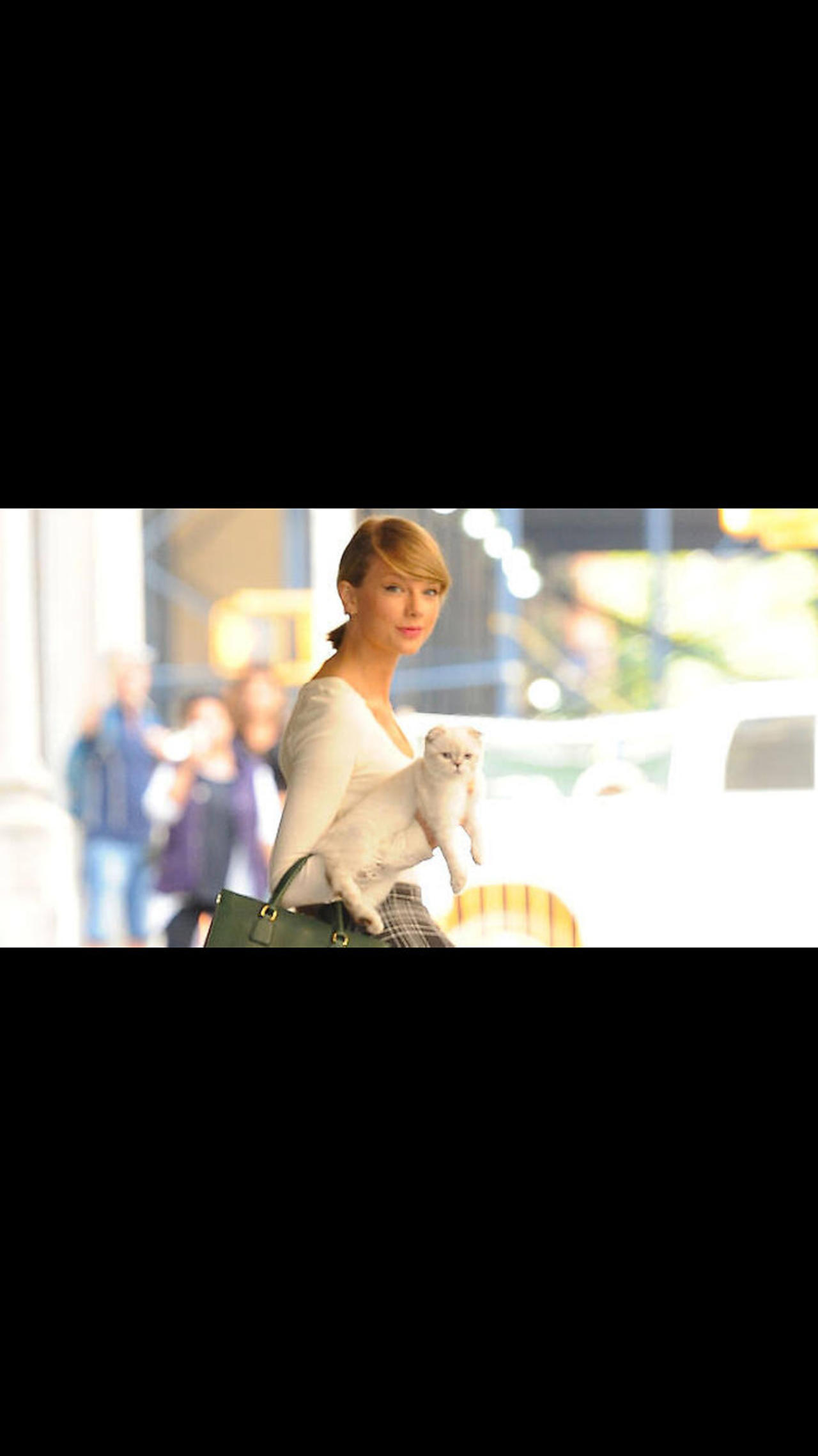 Taylor Swift's Cat Is Worth $97 Million (and No, We're Not Kidding)