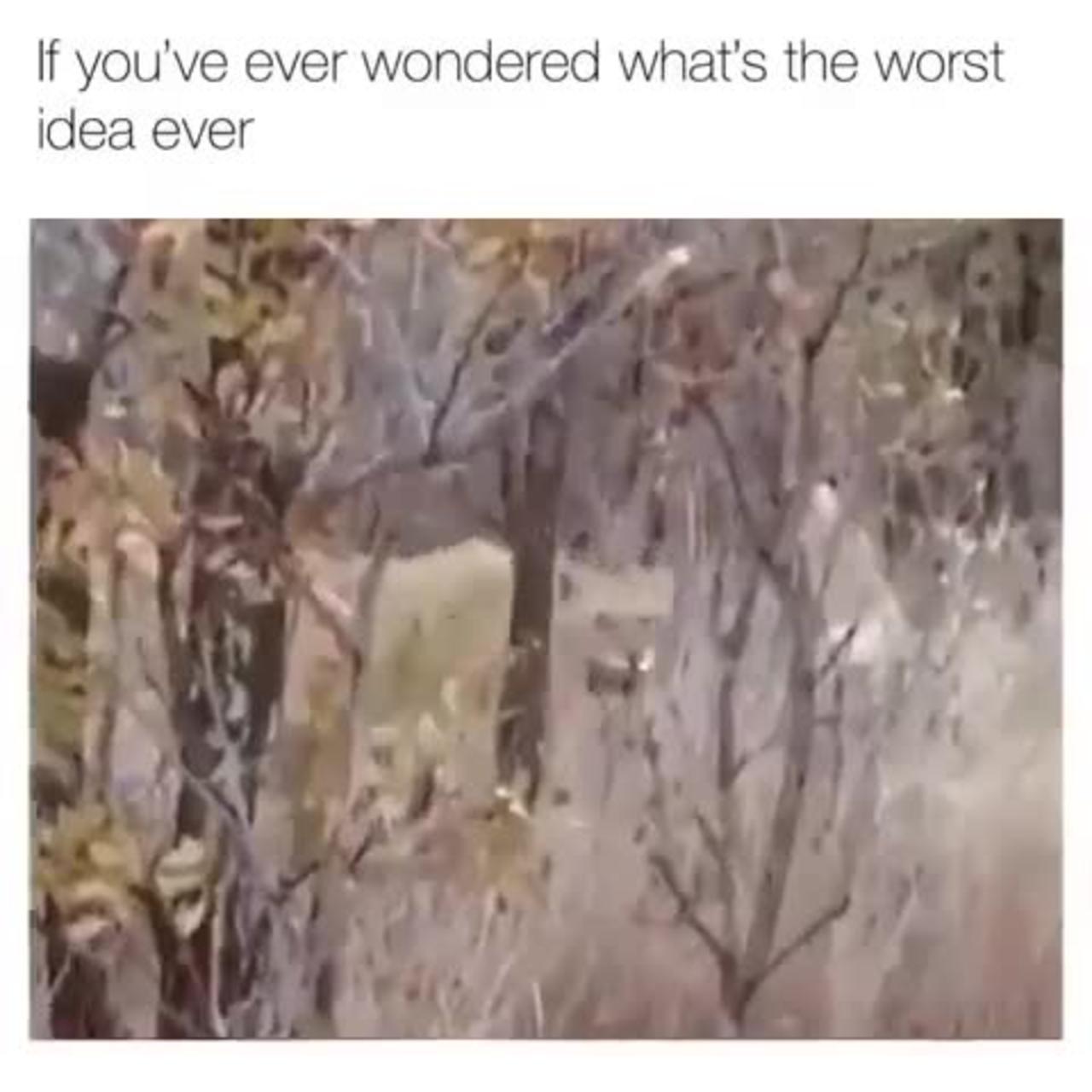 the-2nd-worst-decision-ever-made-after-getting-one-news-page-video