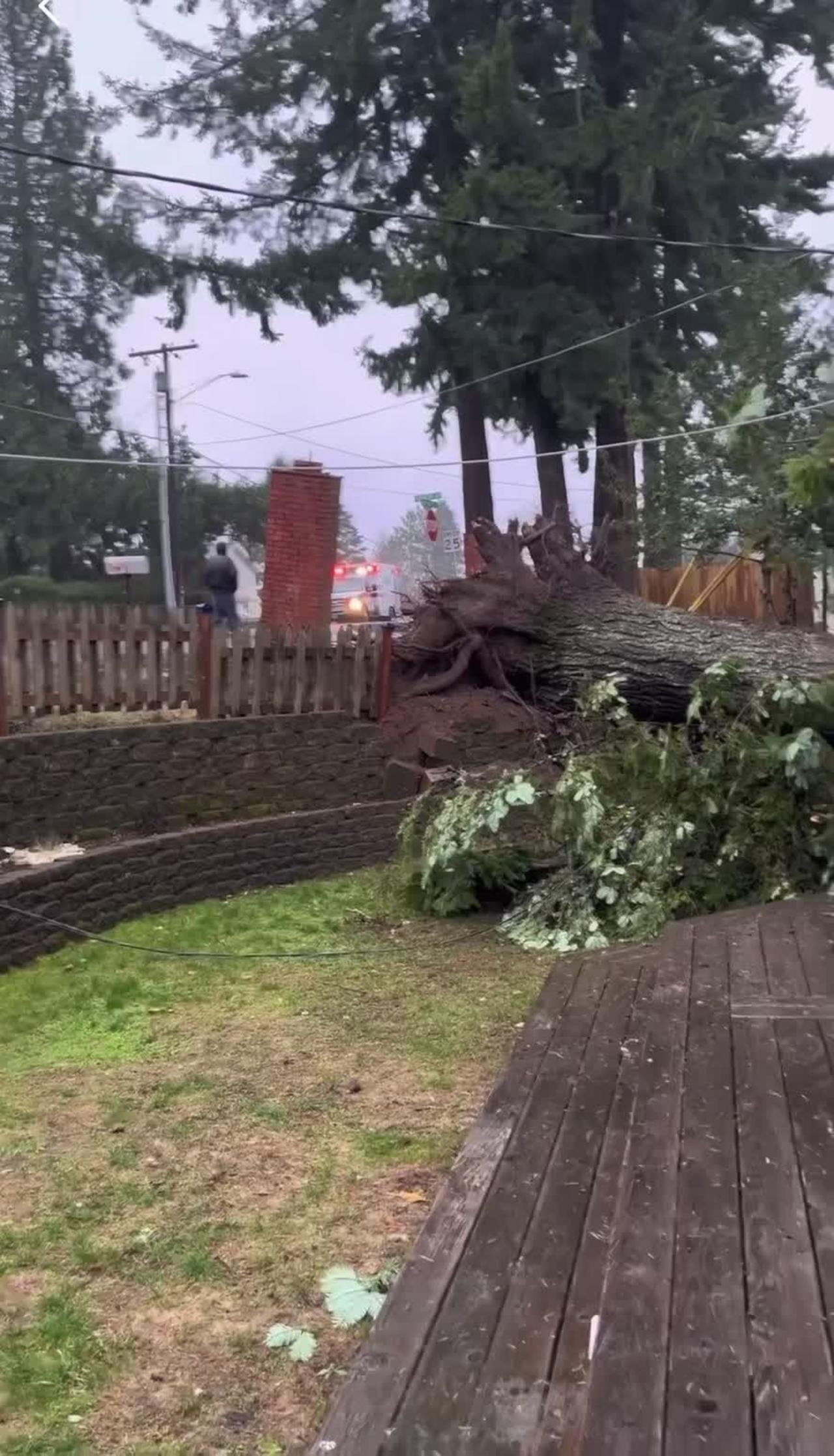 Tree Falls on House During Wind Storm