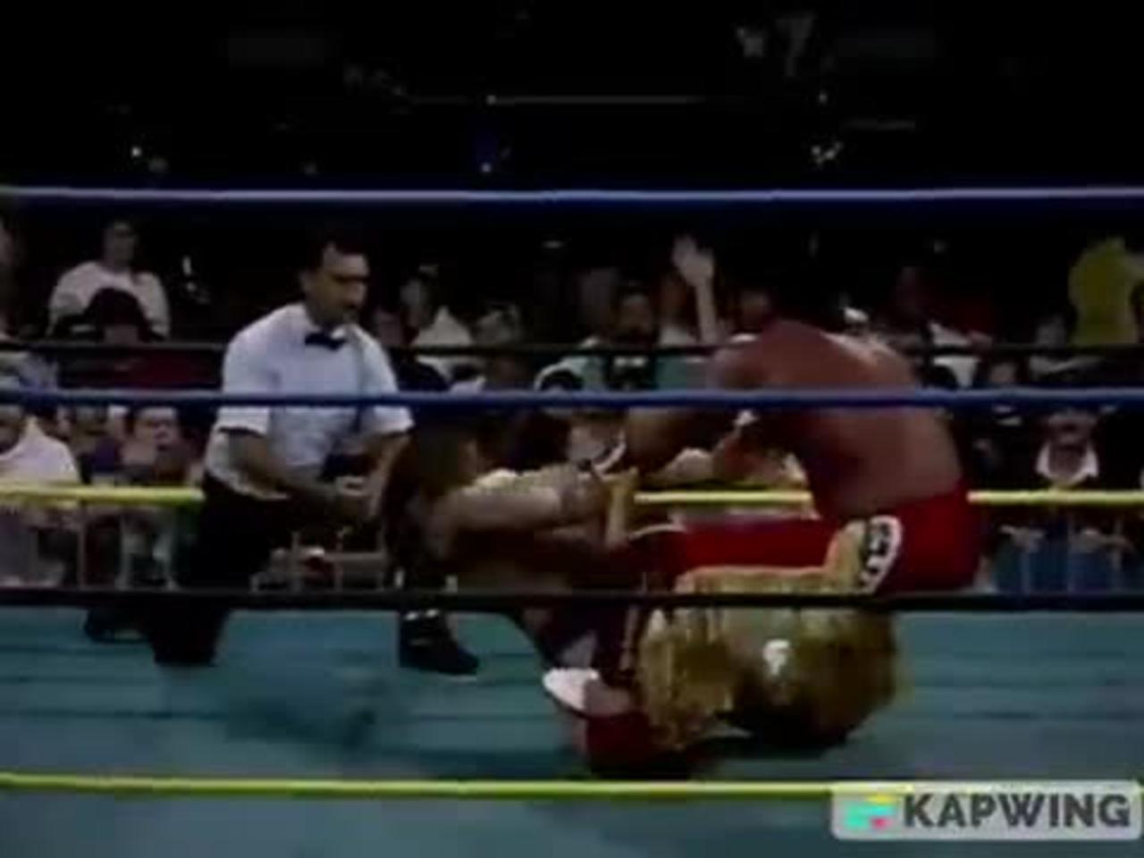Lord Steven Regal vs Davey Boy Smith