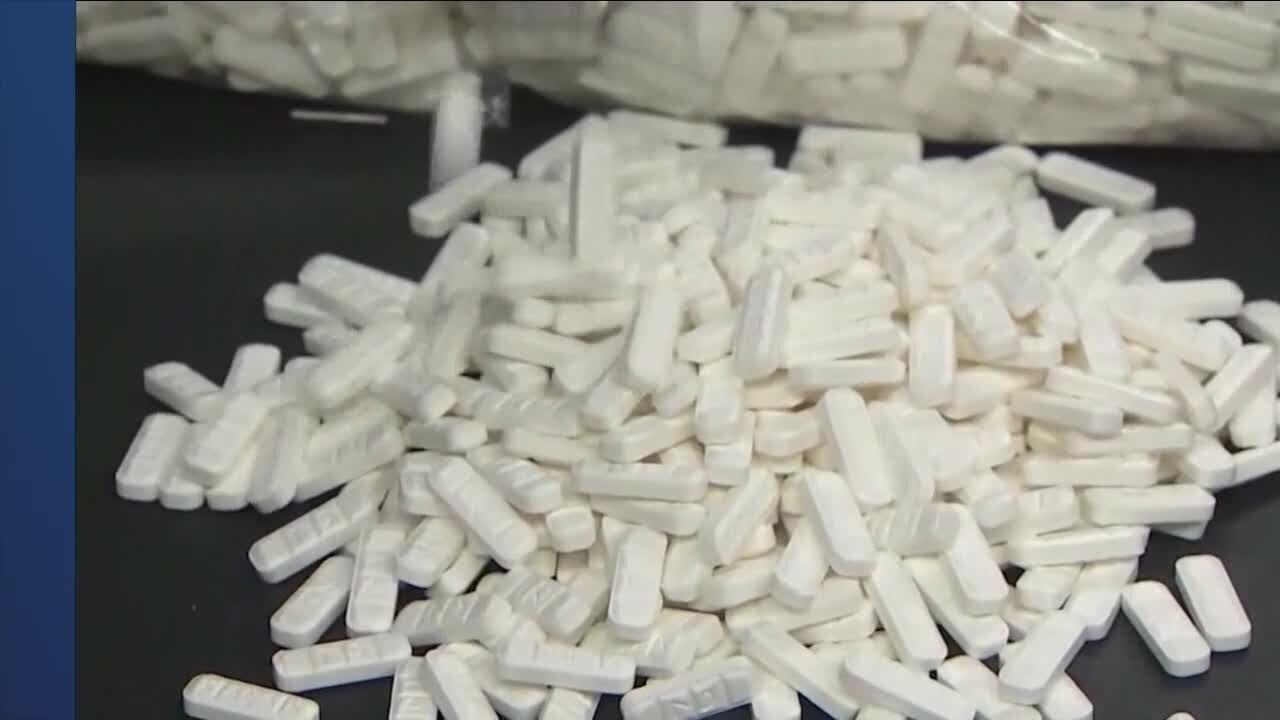 Polk County to receive $30 million to fight opioid epidemic