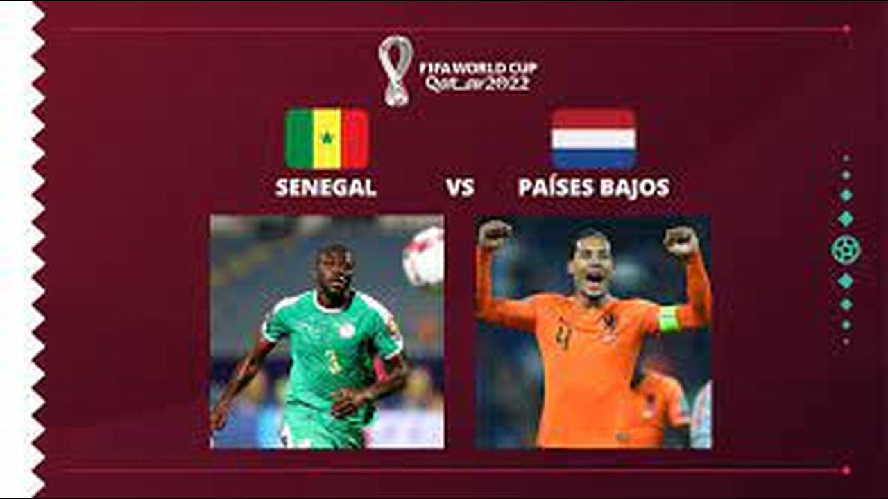 SENEGAL - PAISES BAJOS - FIFA WORLD CUP QATAR 2022