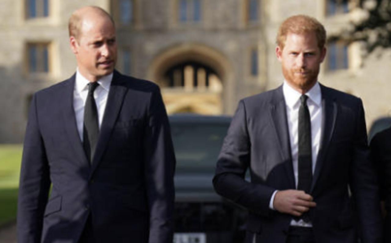 Prince Harry's New Book Alleges Prince William's Physical Attack