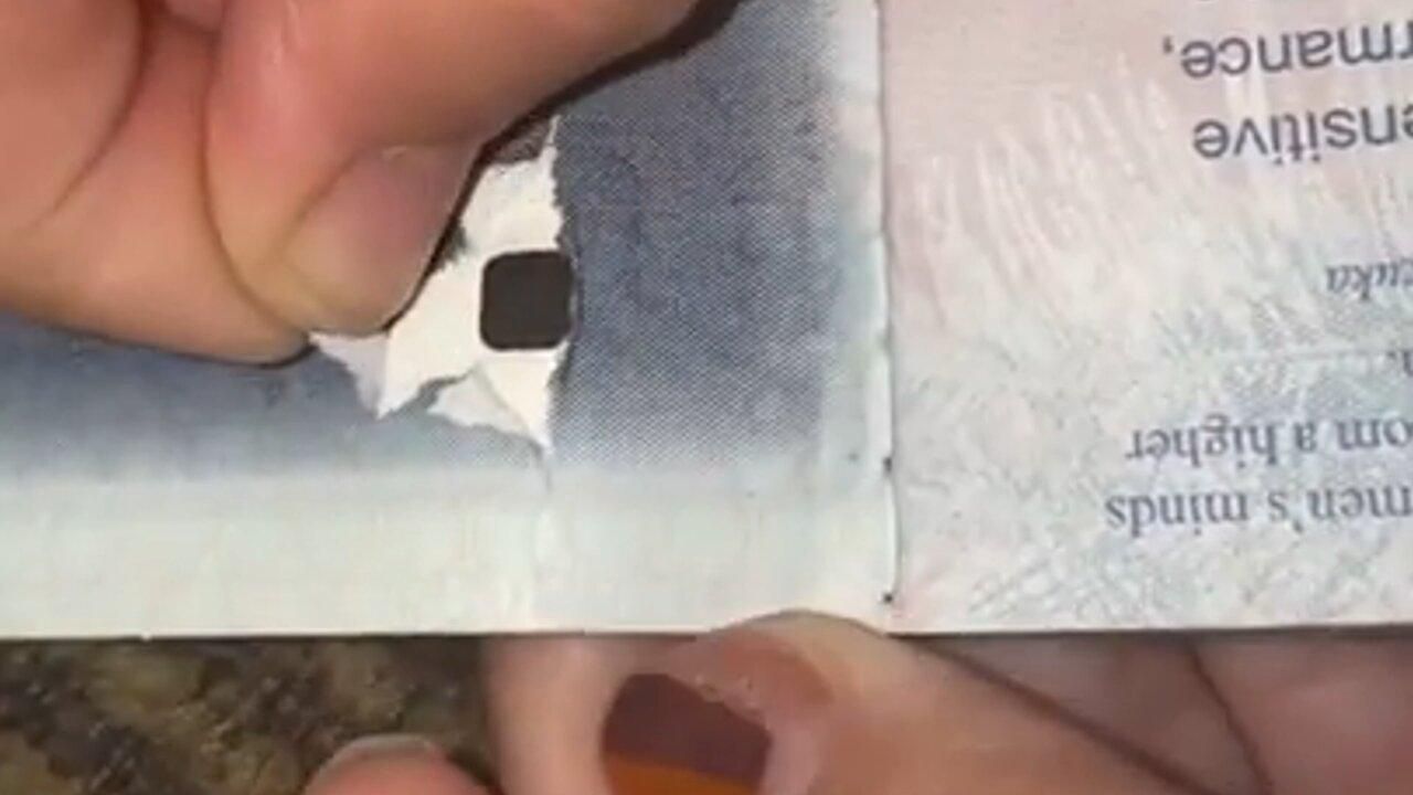 U.S. Passports have RFID Chips withing the outer One News Page VIDEO