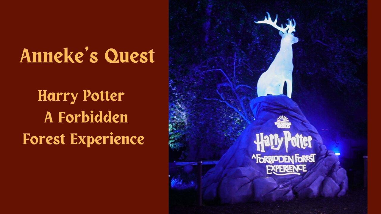 Harry Potter, A Forbidden Forest Experience - One News Page VIDEO