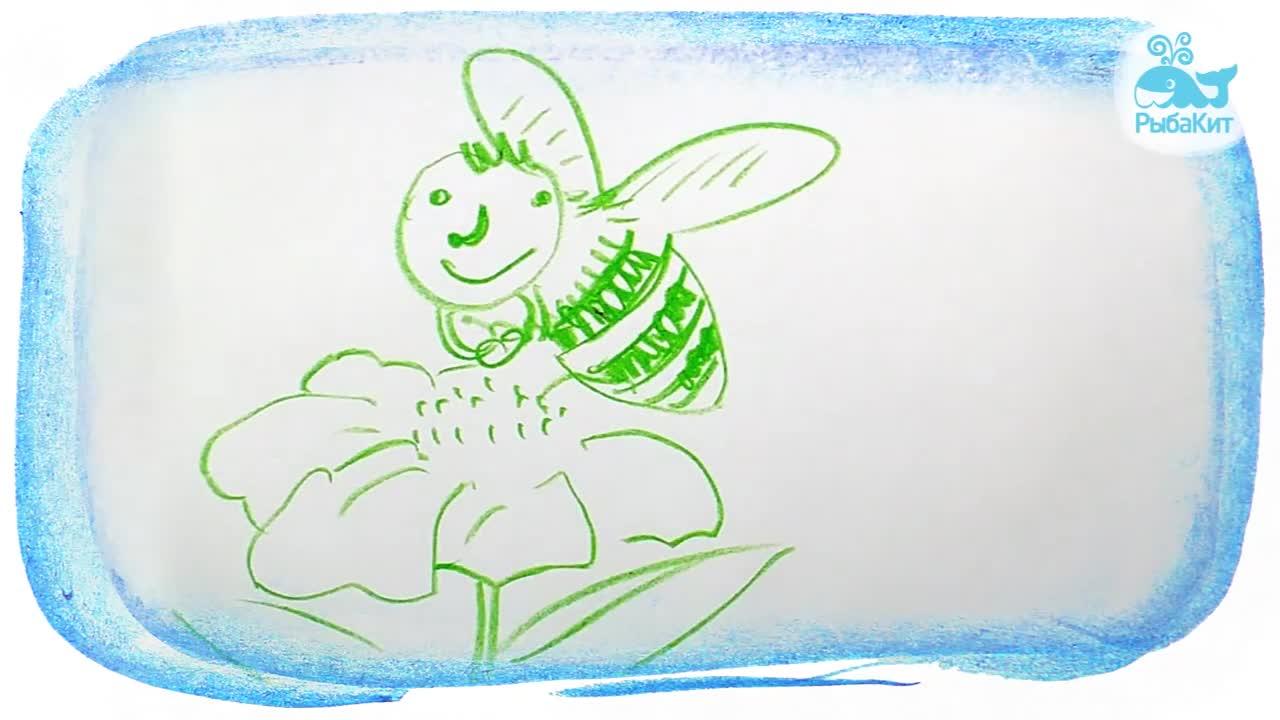 Riddles for kids, Guess? Riddles about Insects + - One News Page VIDEO