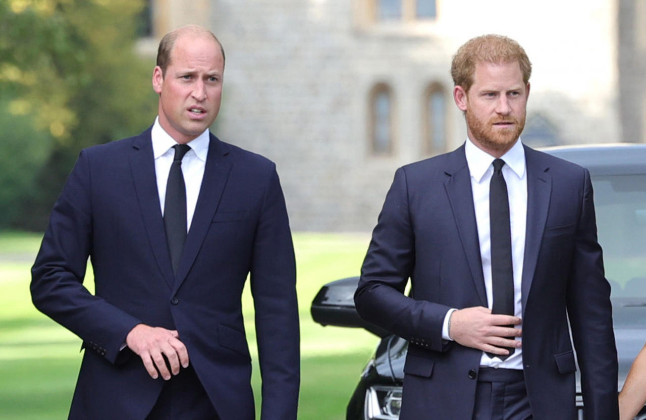 Prince Harry ‘alarmed’ by William’s hair loss