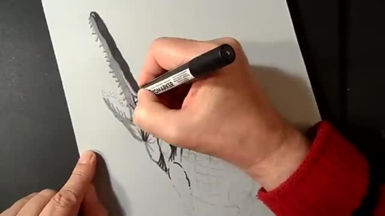 Just a Minute Drawing Crocodile - 3D Trick Art on Paper by Vamos