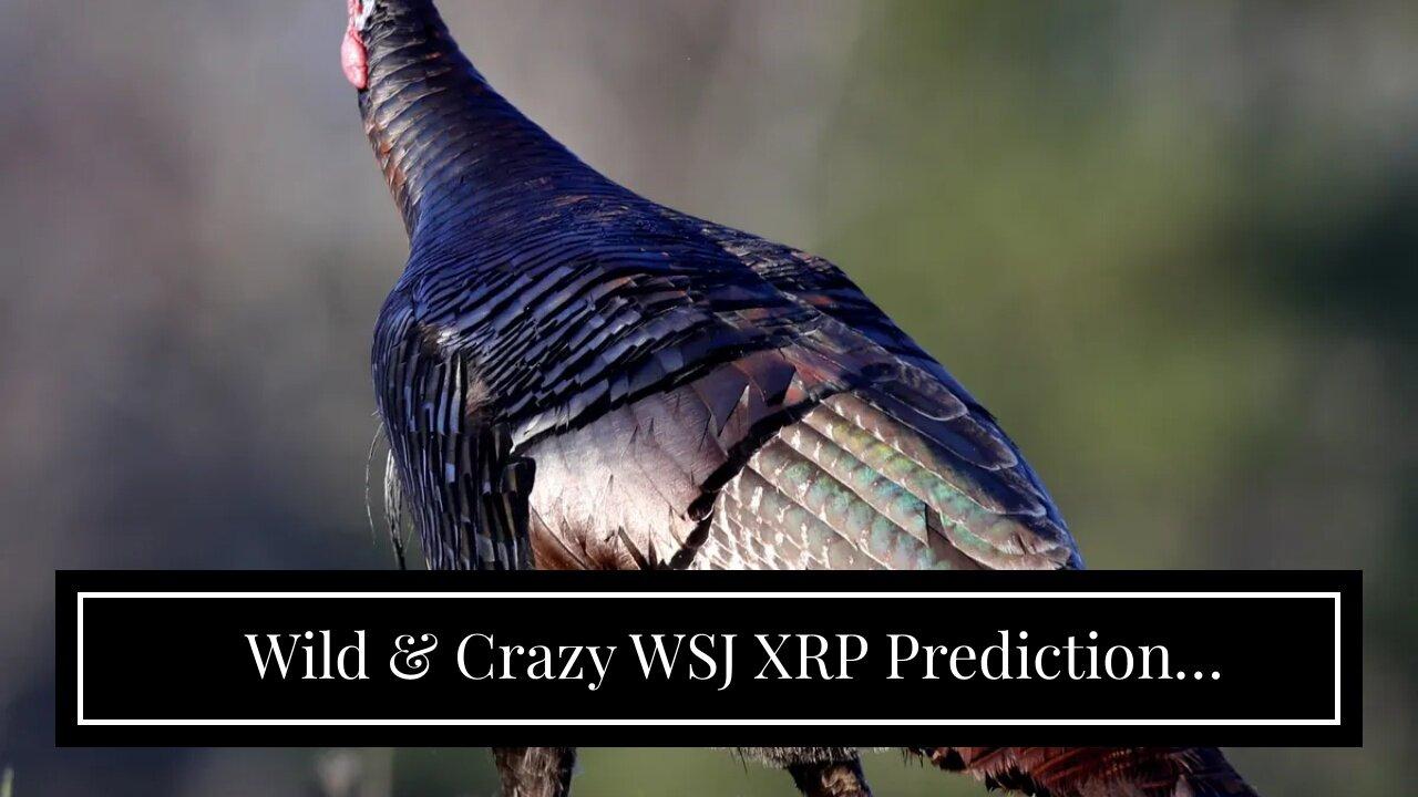 Wild & Crazy WSJ XRP Prediction Flashback& Ripple GC Weighs In