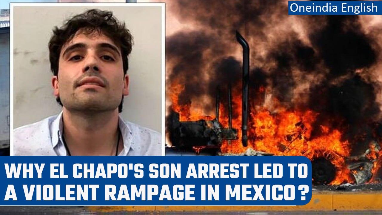Drug lord El Chapo's son arrested in Mexico, extradition halted | Oneindia News *International