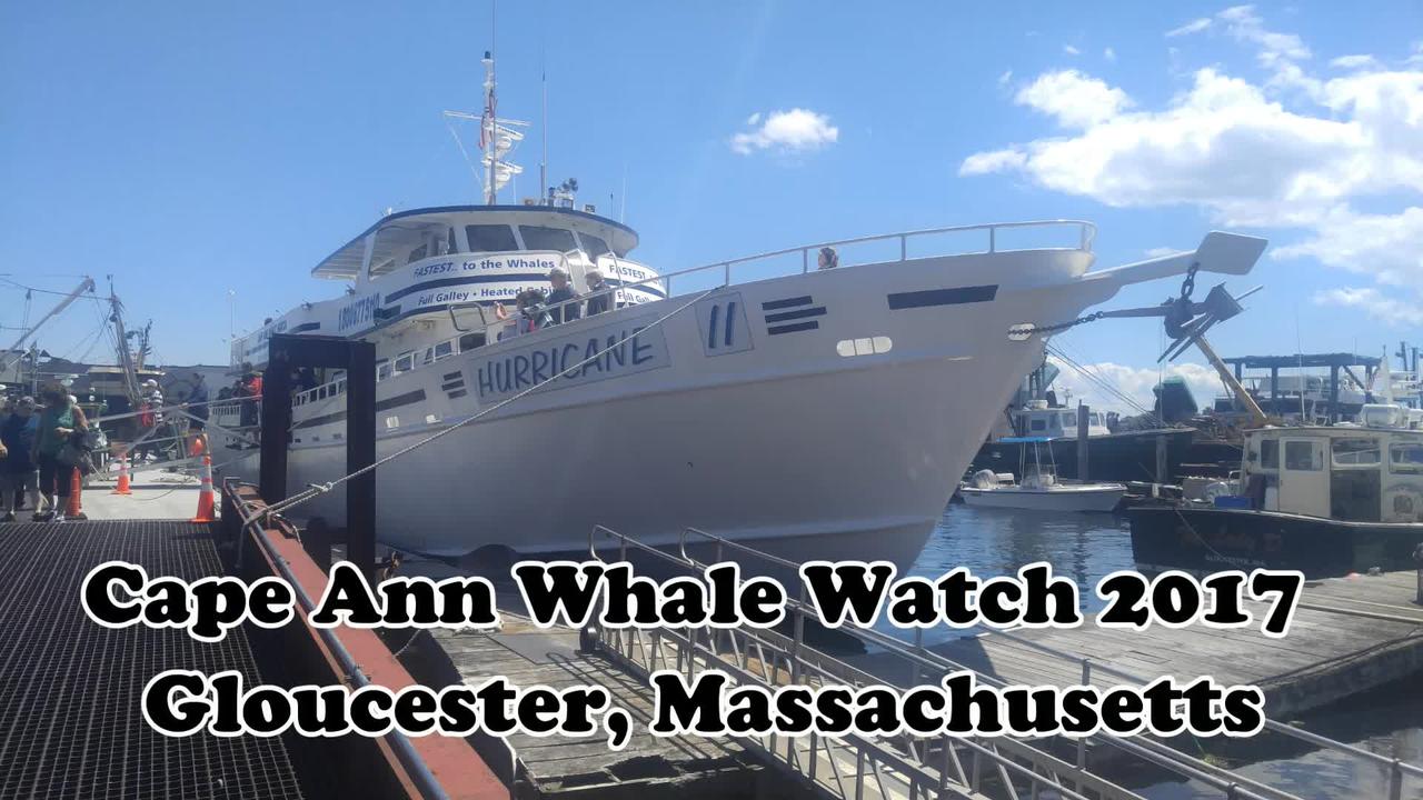 Cape Ann Whale Watch