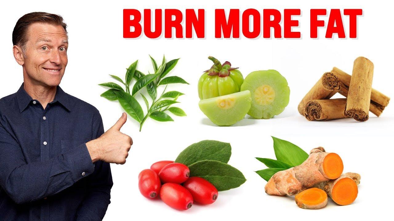 The ABSOLUTE Best 6 FatBurning Herbs One News Page VIDEO