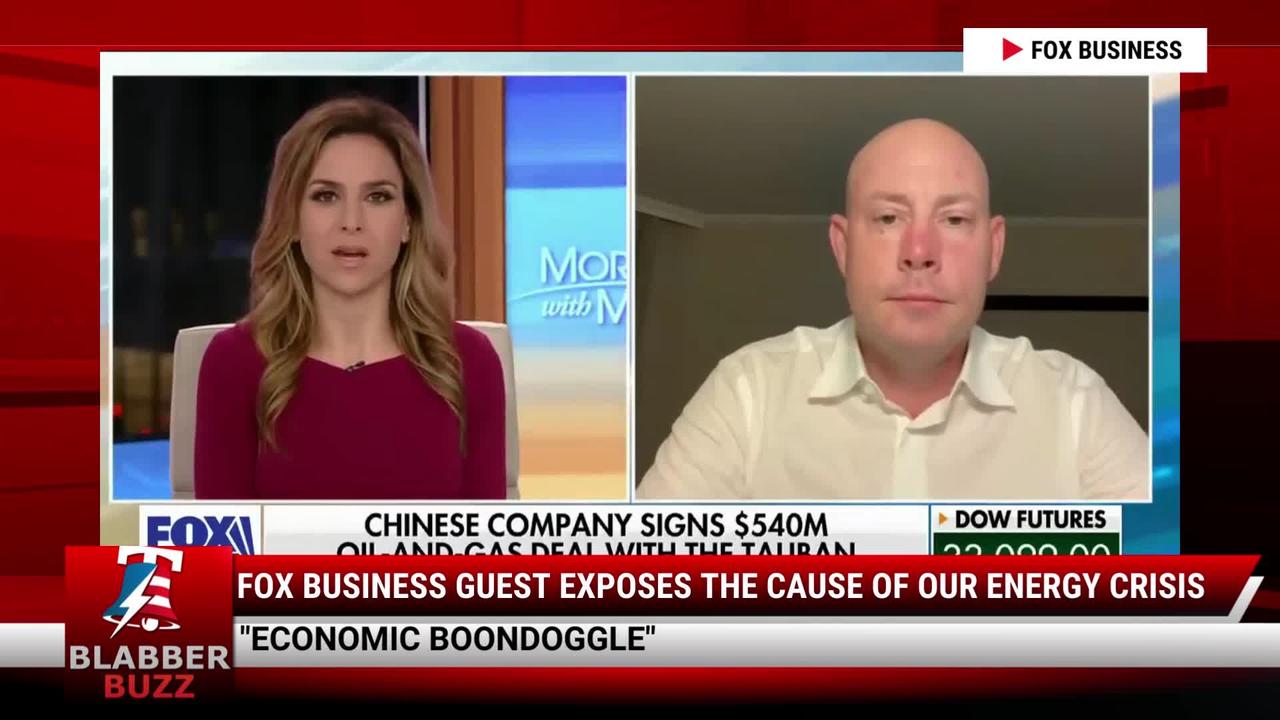 Fox Business Guest Exposes The Cause Of Our Energy Crisis