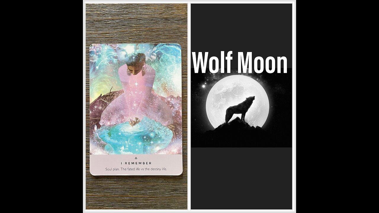 Full Wolf 🐺 Moon 🌝 in Cancer ♋️