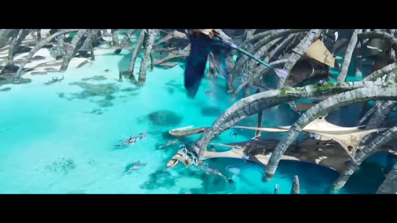 Avatar The Way of Water Movie - Planet Pandora