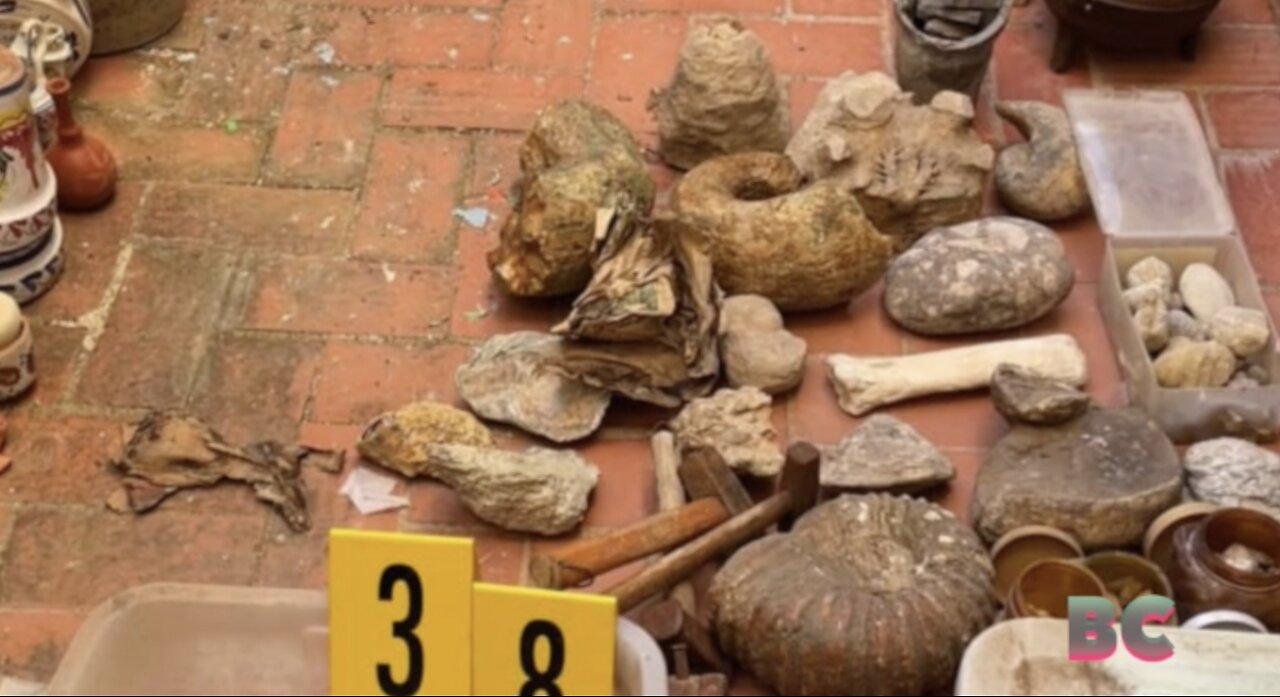 Spanish police seize hundreds of archaeological artifacts from two homes