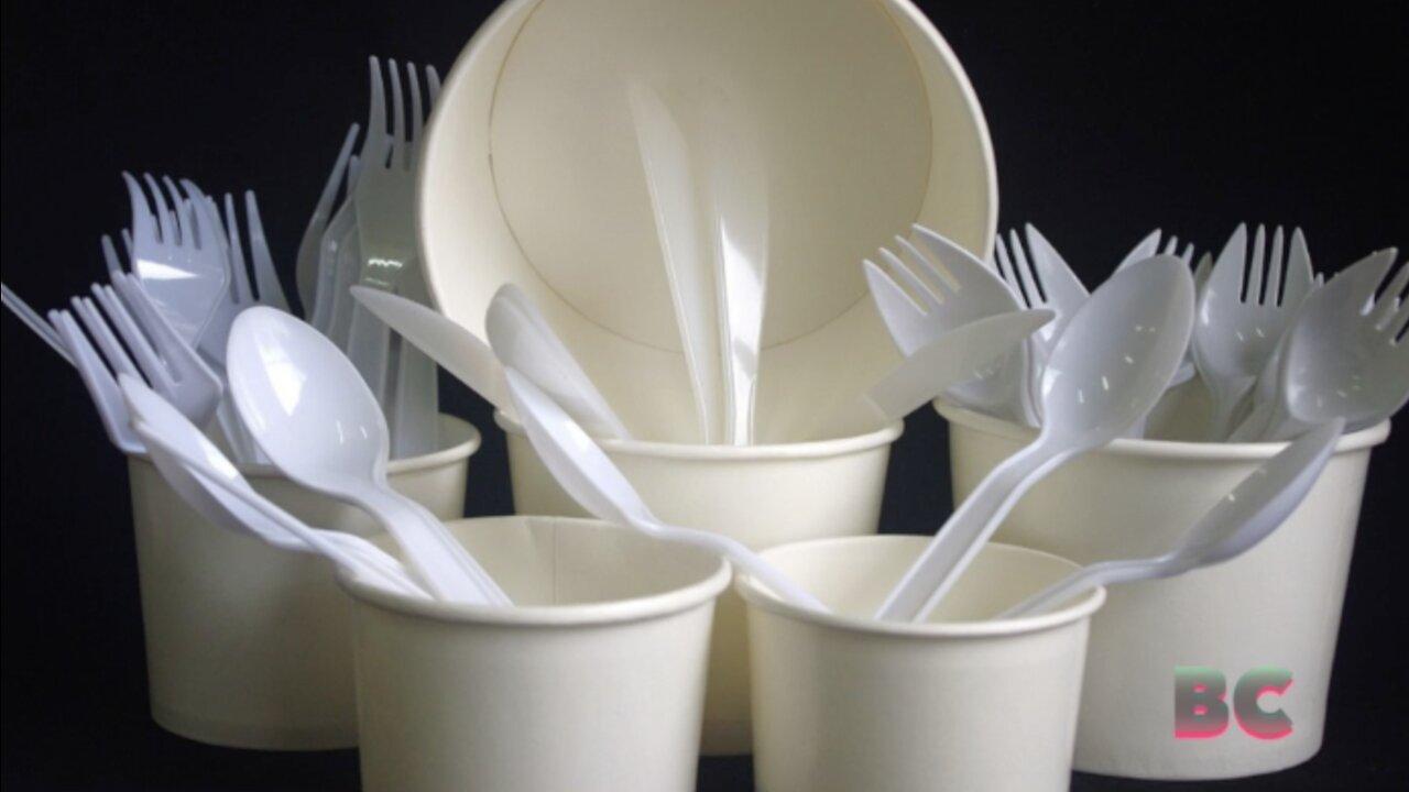 Singleuse plastic cutlery and plates to be One News Page VIDEO