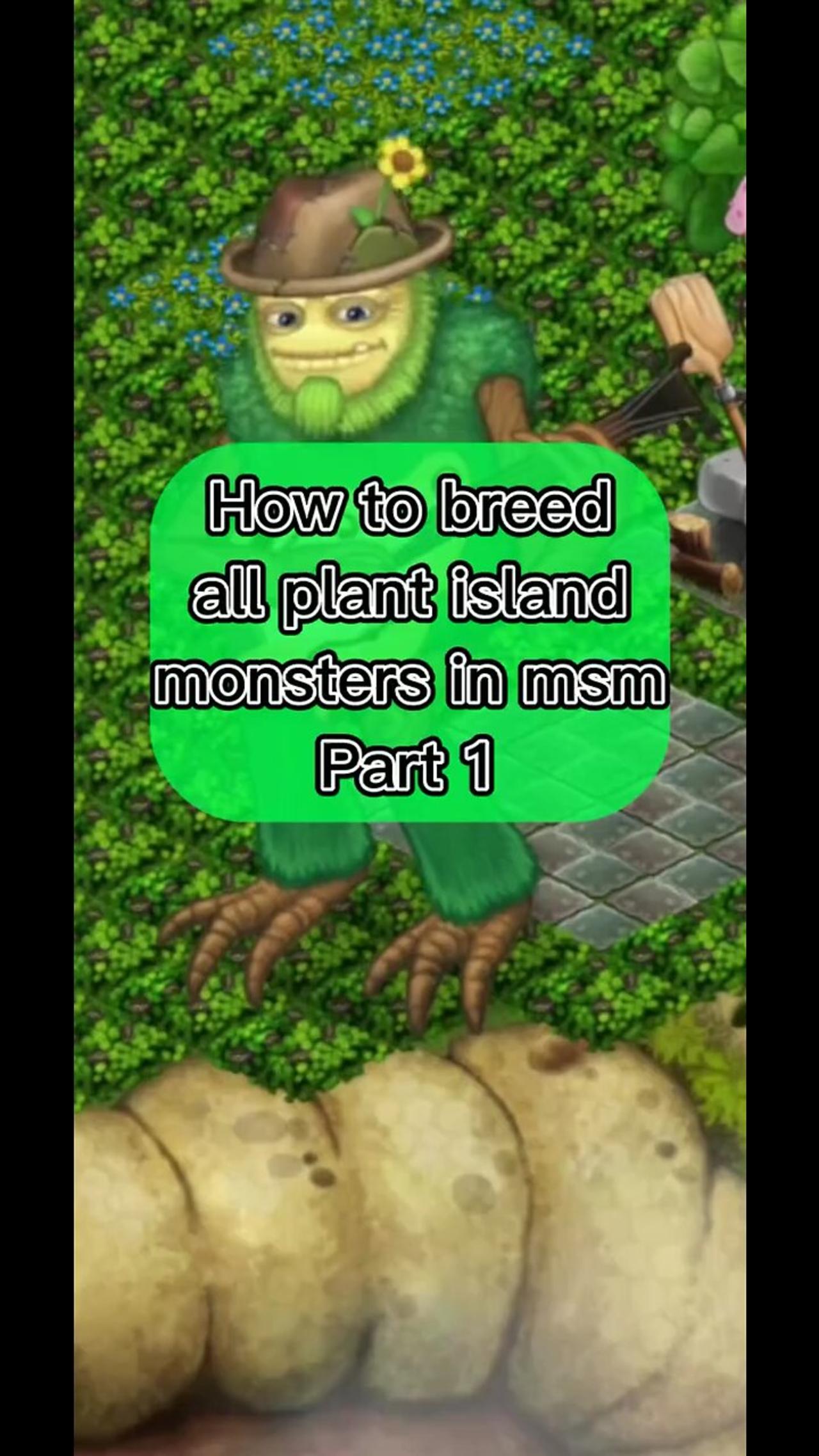 PLANT ISLAND MSM breeding guide pt.1 - One News Page VIDEO