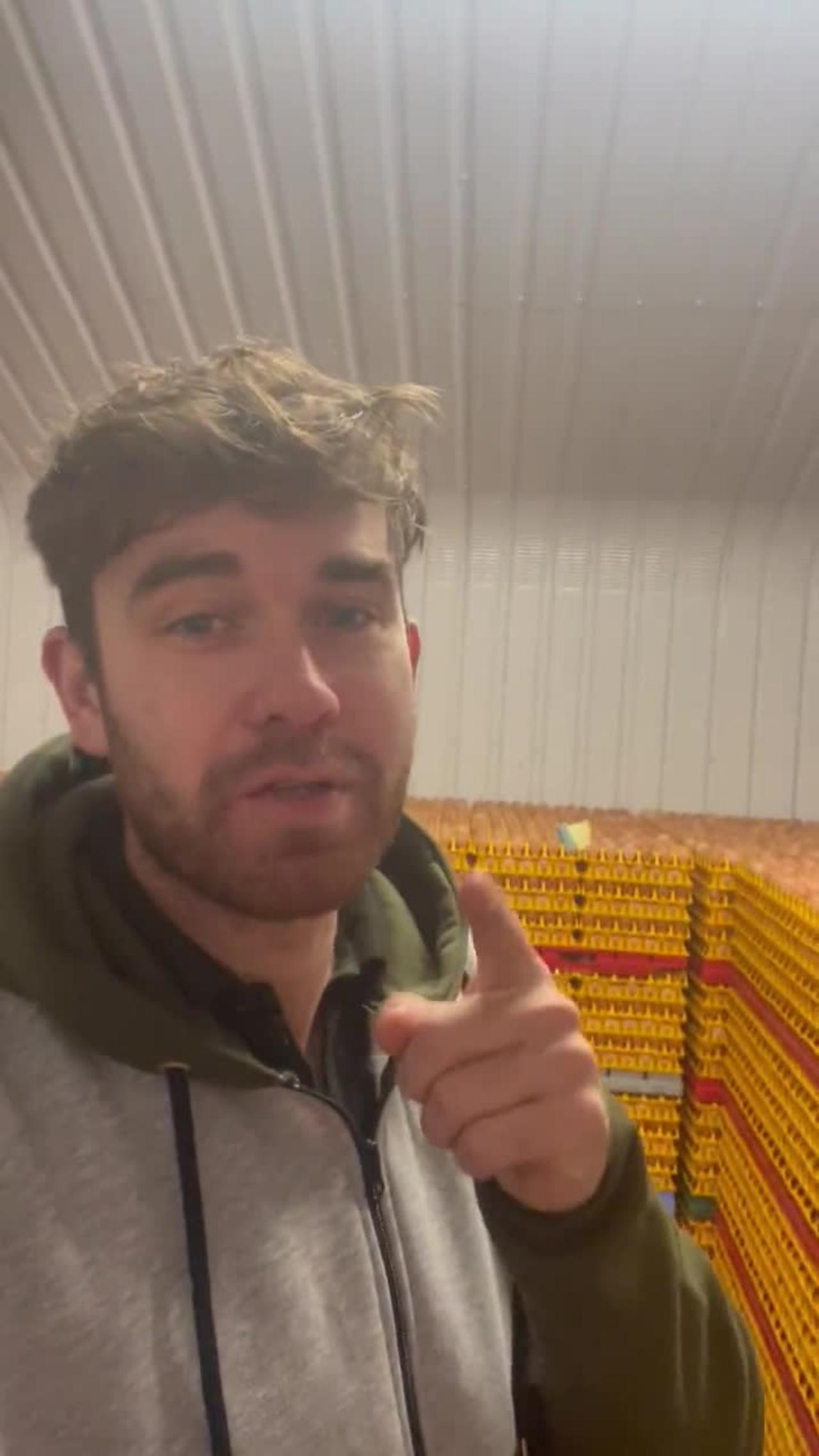 Mini Egg Shortage: Panic Buying Or Real Threat? - x9ebwl9