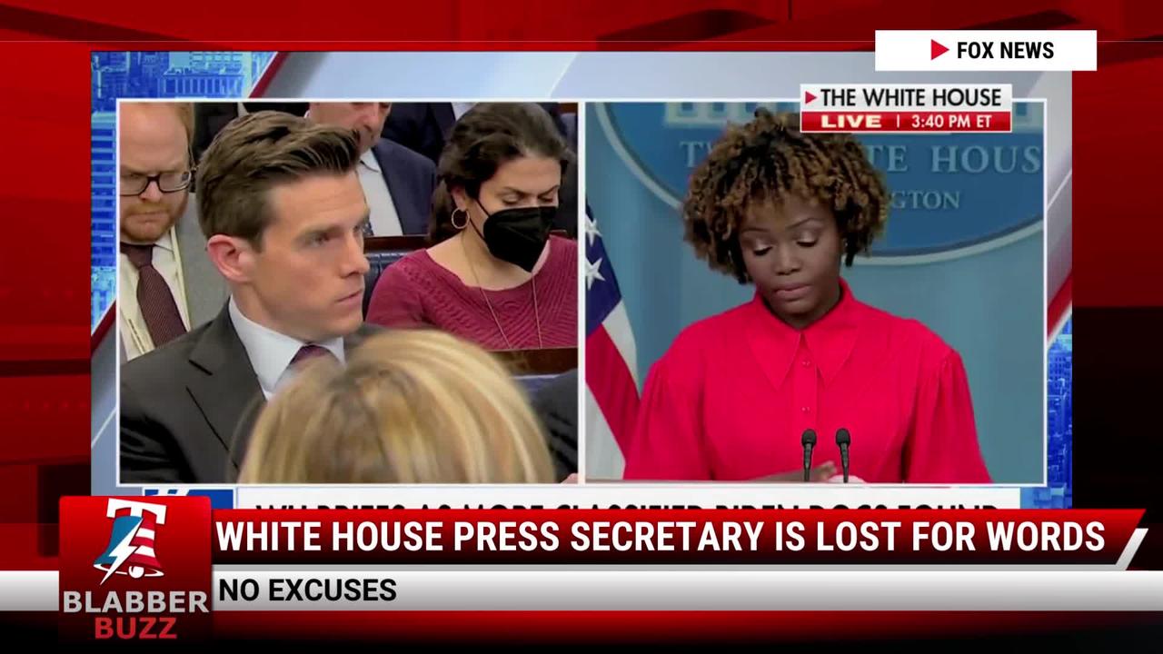 White House Press Secretary Is Lost For Words