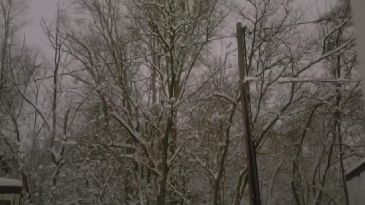Snow storm hits Michigan One News Page VIDEO