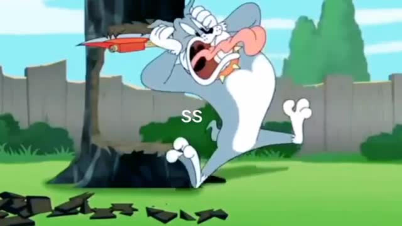 Tom And Jerry Cartoon Now In Telugu One News Page VIDEO